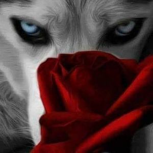 Meet your Posher, Darlene